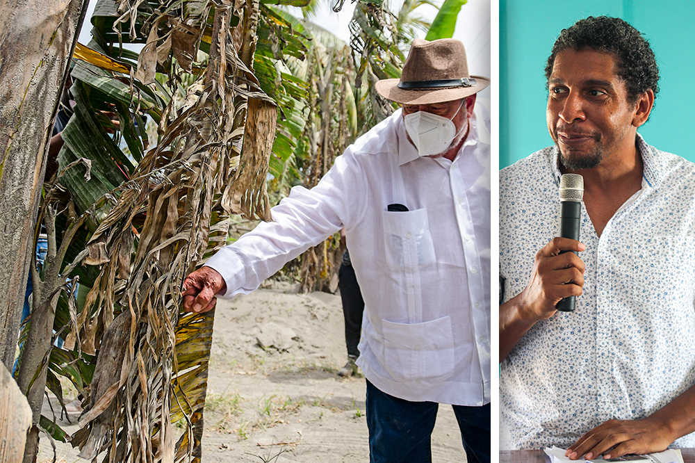 Income support payments to farmers and fisherfolk begin this week Income support payments to farmers and fisherfolk begin this week