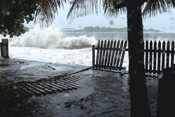 •SVG hit by most powerful hurricane in years