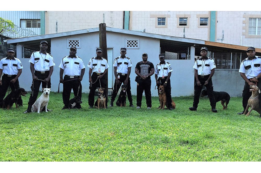 Guardsman ahead of the curve in local Security Services Searchlight