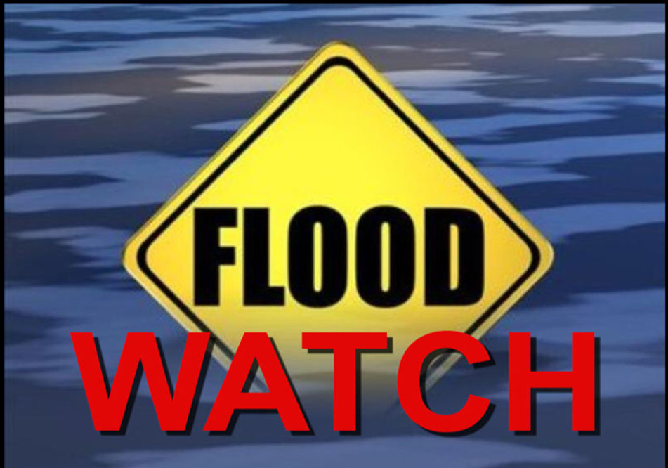 Flash Flood Watch in effect for St Vincent and the Grenadines