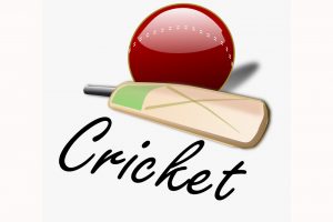 TBPO Softball  Cricket consolidates