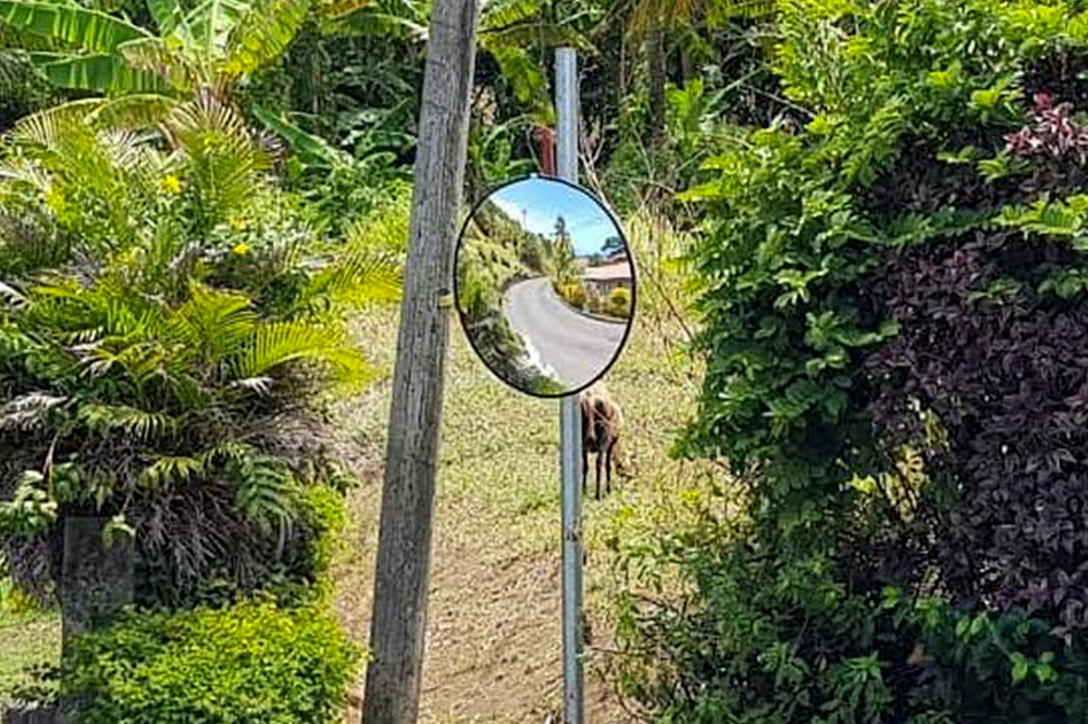 Credit Union installs traffic mirror at Cedars Searchlight