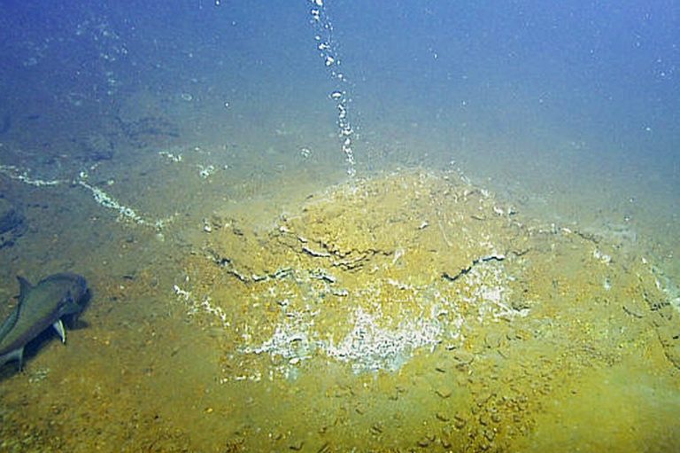 Kick 'em Jenny experiencing 'increased activities'