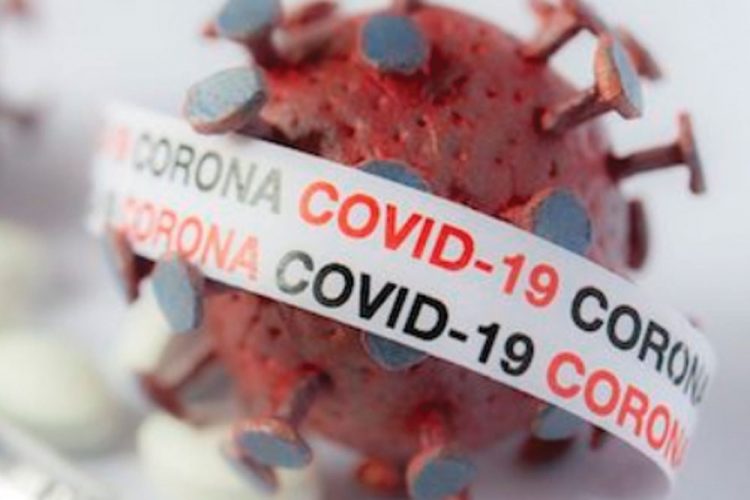 Nine new COVID19 positive cases reported