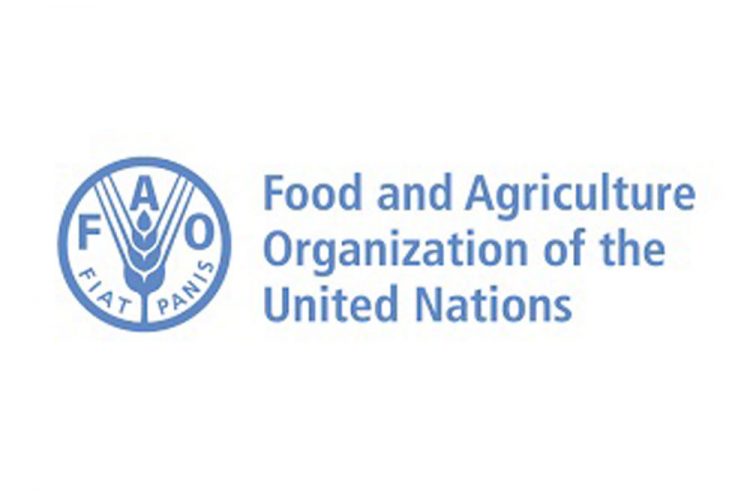 FAO provides urgent technical assistance for SVG’s agriculture sector