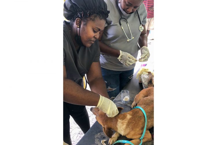 Pets N  Medix  continues animal health  clinics