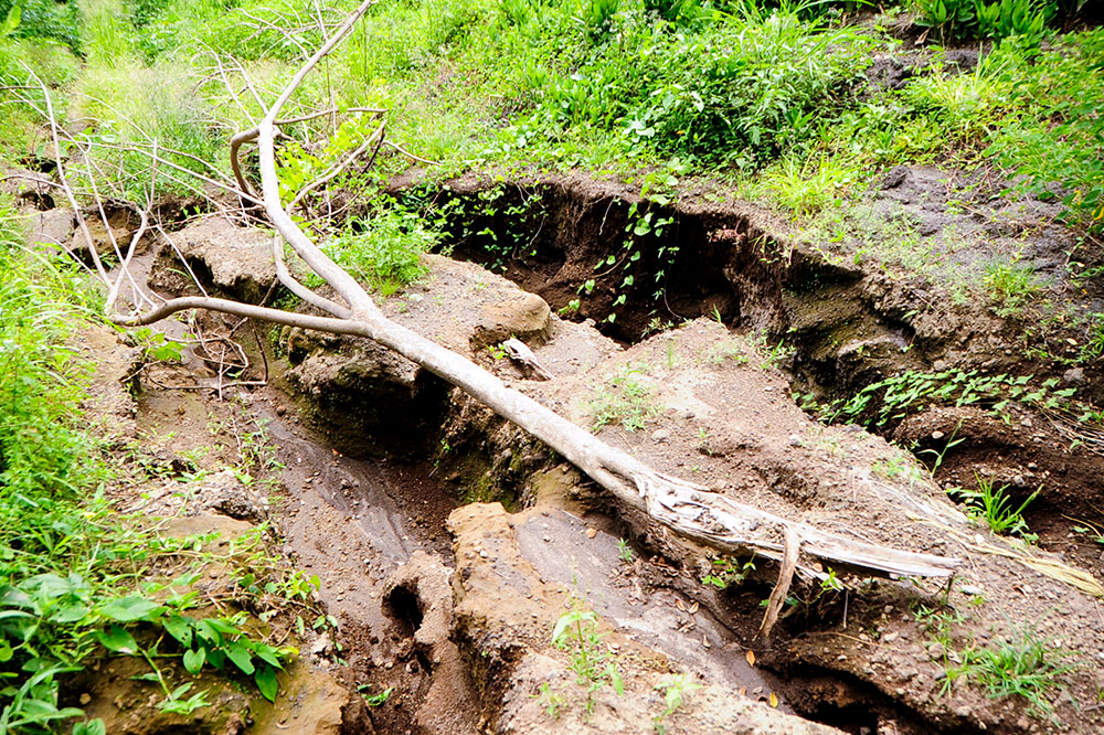 Volcano and Elsa cause thousands in damage to Waterloo farm Volcano and Elsa cause thousands in damage to Waterloo farm