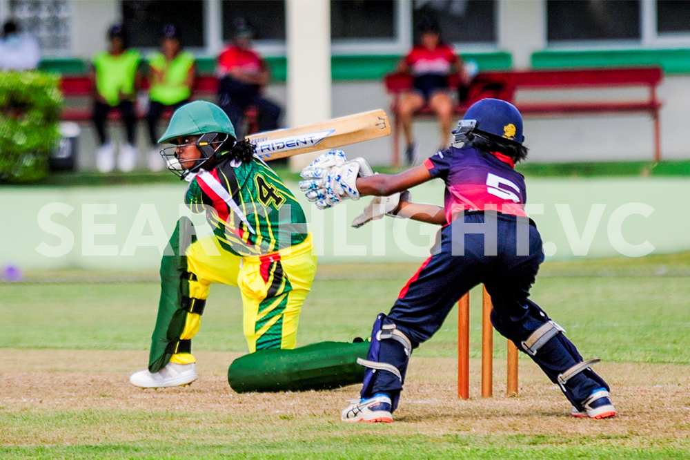 USA bowls off historic female cricket tour with victory USA bowls off historic female cricket tour with victory