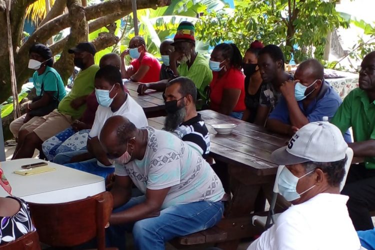 Farmers ready to try hands at garlic production + video Farmers ready to try hands at garlic production + video