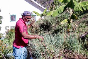 More locals buy into ecological farming