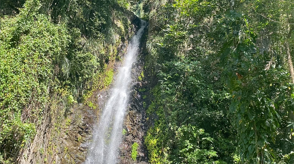 All recreation sites closed for Good Friday - Vimarsana News