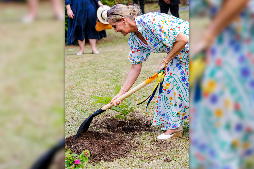Chair of the Organizing Committee pleased with outcome of Royal visit - Vimarsana News