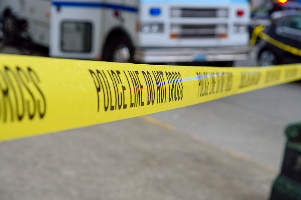 Police investigating second road fatality for 2022 - Vimarsana News