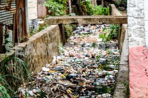 Pollution is a serious threat to the potential of the Blue Economy in the OECS