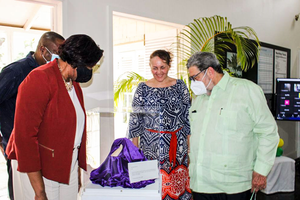 SVG National Trust unveils repatriated stolen artefacts - Vimarsana News