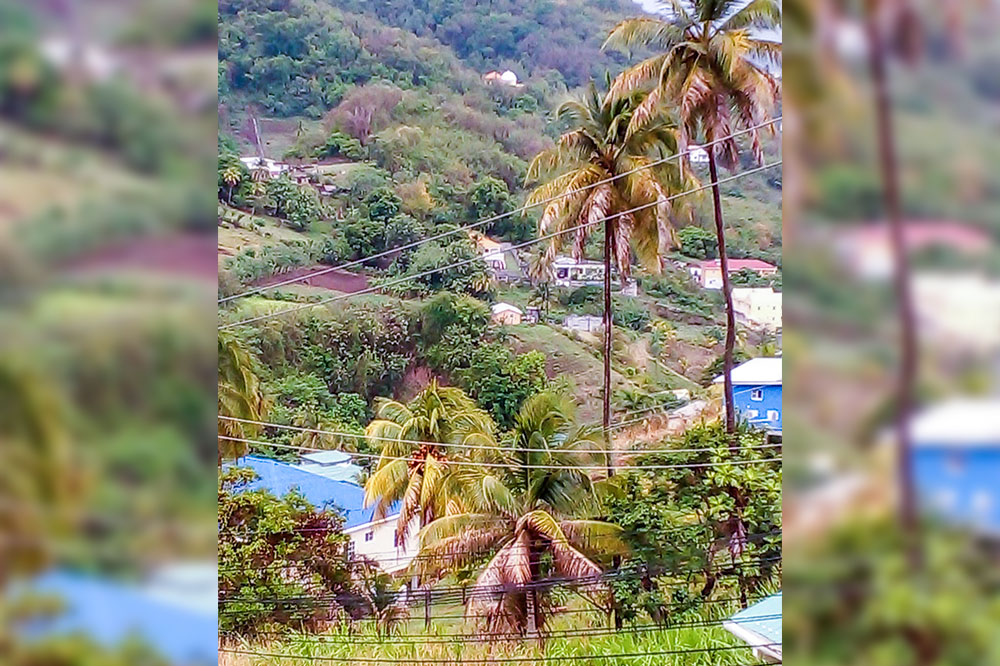 Local coconut industry under threat - Vimarsana News