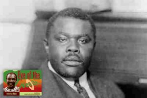 Marcus Garvey, Pan  Africanism and Reparations