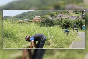 6000 Vincentians  employed by US$3 million road cleaning programme