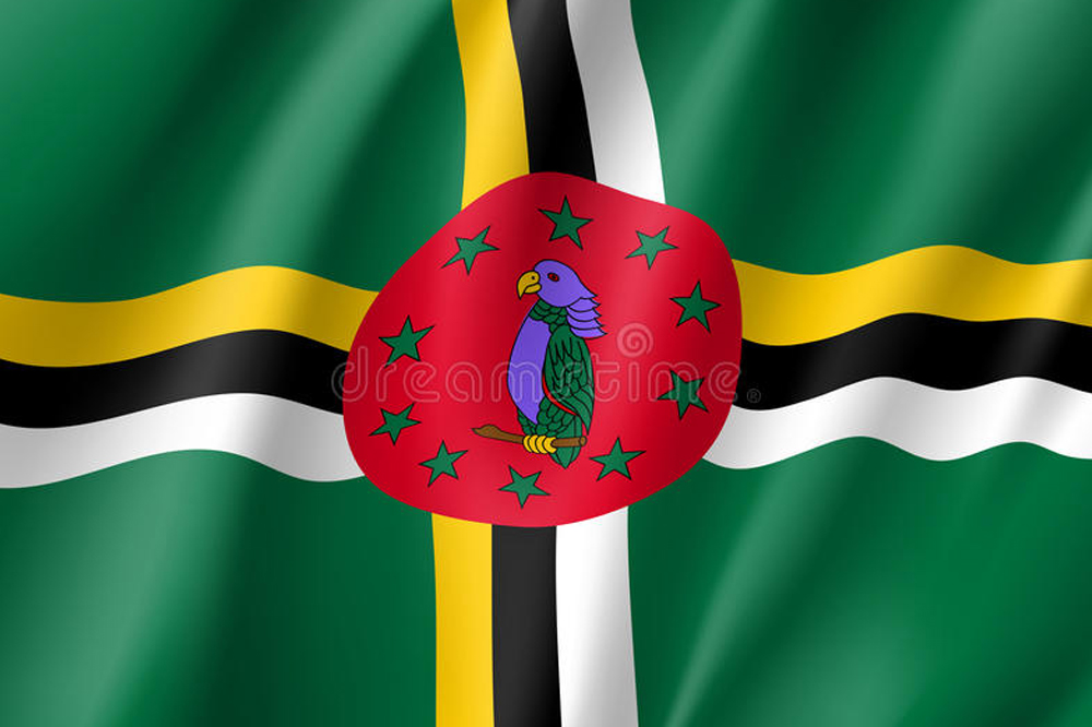 Dominica Opposition, Civil Society reject snap election - Vimarsana News