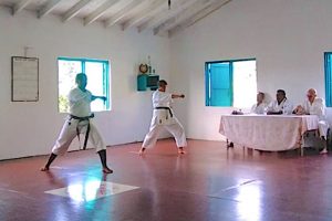 Bequia Karatekas complete exam