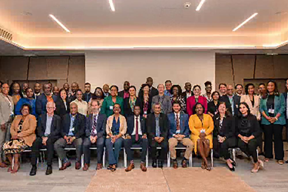 Network of Caribbean Chambers chart a way forward for response to hazards in the region - Vimarsana News