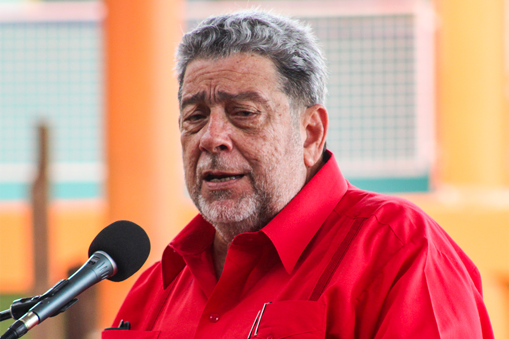 Carnival belongs to everyone says PM - Vimarsana News