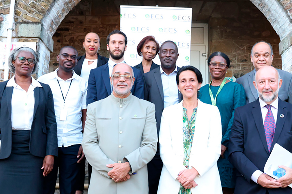France Commits €3 million to OECS mangrove restoration - Vimarsana News