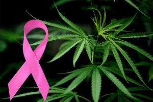 Medical doctor highlights link between cancers and long term ganja use