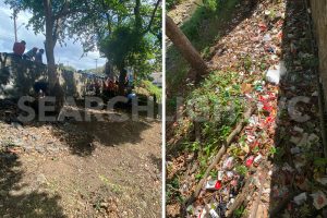 75 bags of garbage removed from Arnos Vale bus stop (+VIDEO)