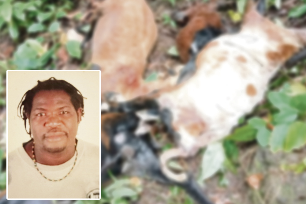 Farmer loses animals, blames devilish activity - Vimarsana News
