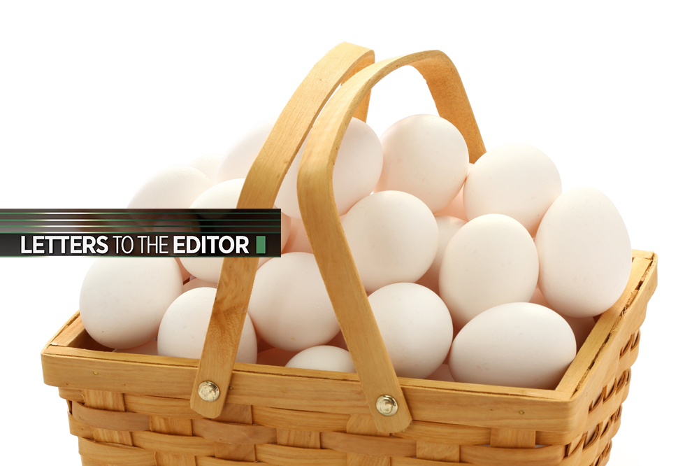 Don’t put all your eggs in one basket Searchlight