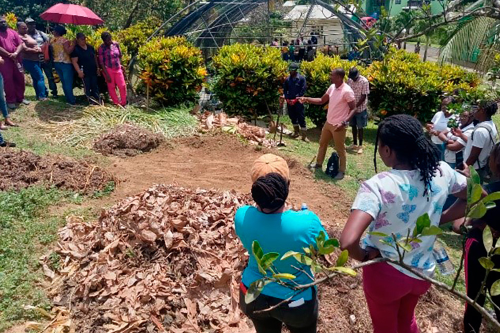 FAO host workshops to help boost agricultural production - Vimarsana News