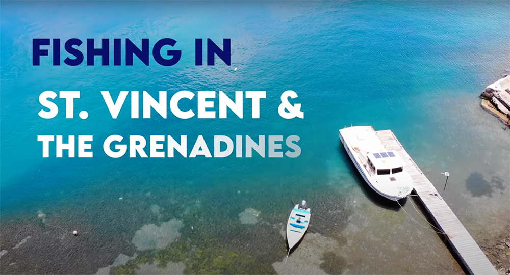 The OECS releases documentary on fishing in SVG to mark International Day for Biological Diversity - Vimarsana News