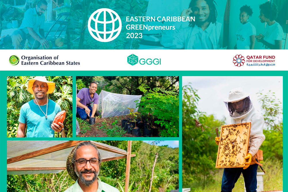 Applications now closed for OECS Green Entrepreneurship initiative - Vimarsana News