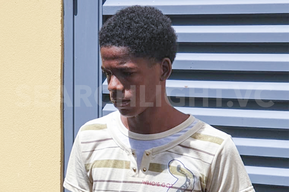 Possession of imitation firearm earns teenager a criminal conviction - Vimarsana News