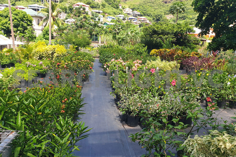 Nature Care is a good place to work – Lowman - Vimarsana News