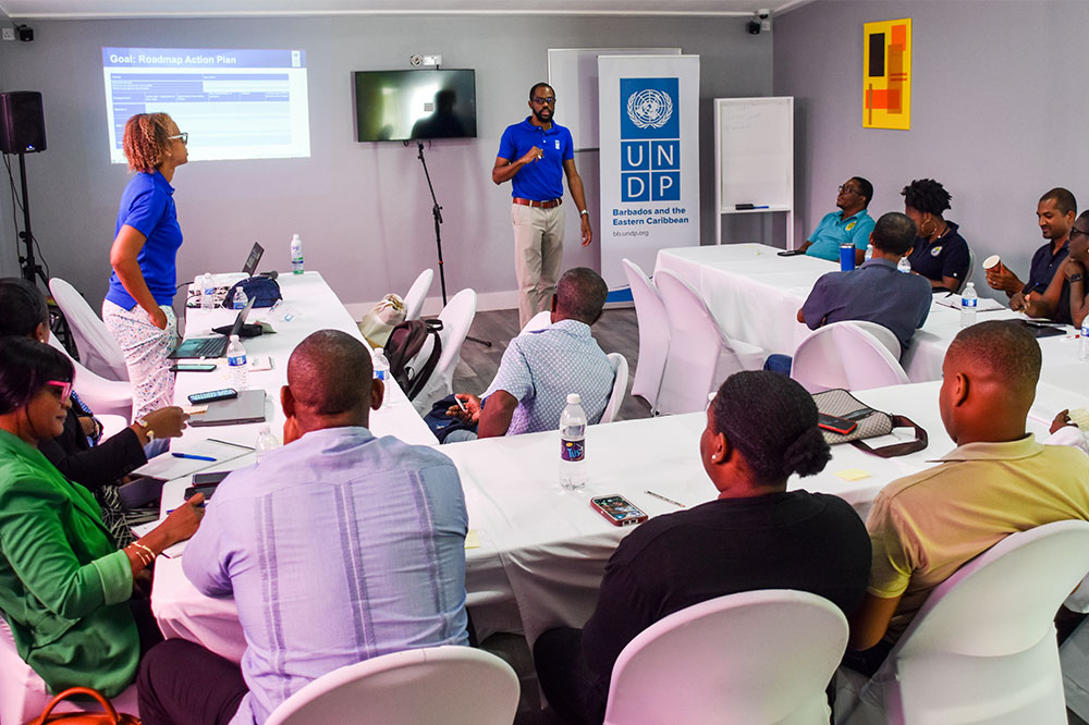 UNDP workshop identifies deficiencies in SVG marine protection legislation - Vimarsana News