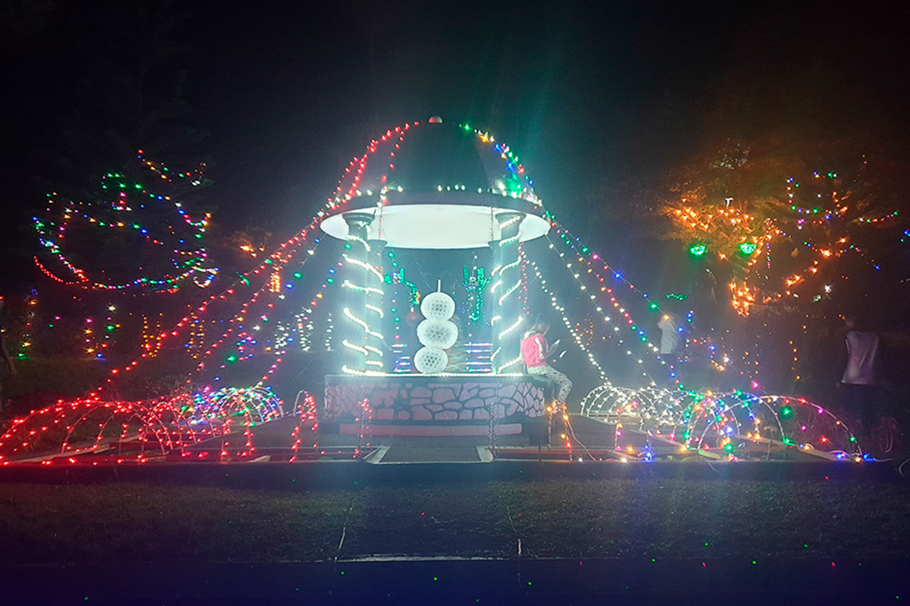 Nine Nights of Lights launched at Botanic Gardens Tuesday - Vimarsana News