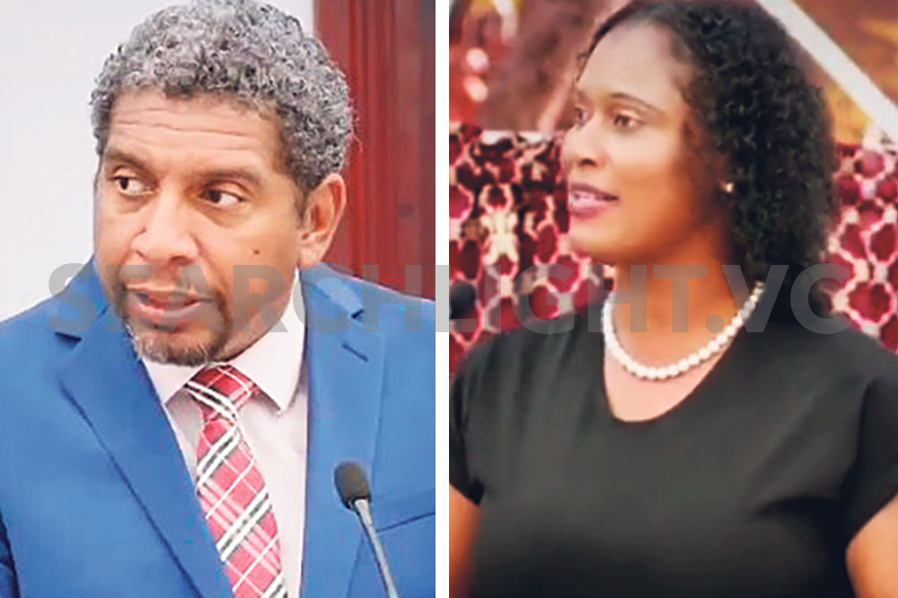 Budget 2024 gets stamp of approval - Vimarsana News