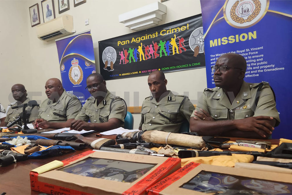 90-day gun amnesty - no questions asked - Vimarsana News