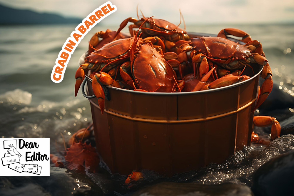 Crab in a barrel mentality is detrimental to society Searchlight