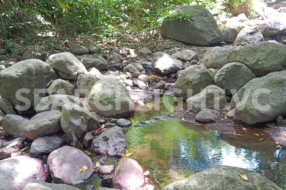 CWSA bracing for prolonged drought - Vimarsana News