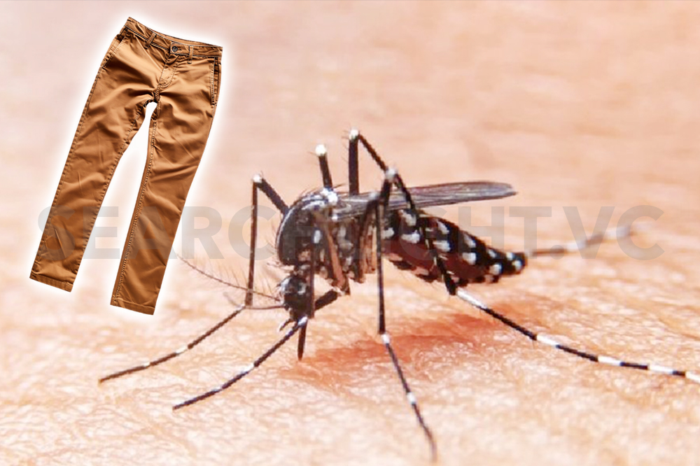 Protect against mosquito-borne diseases, Ministry of Health advises