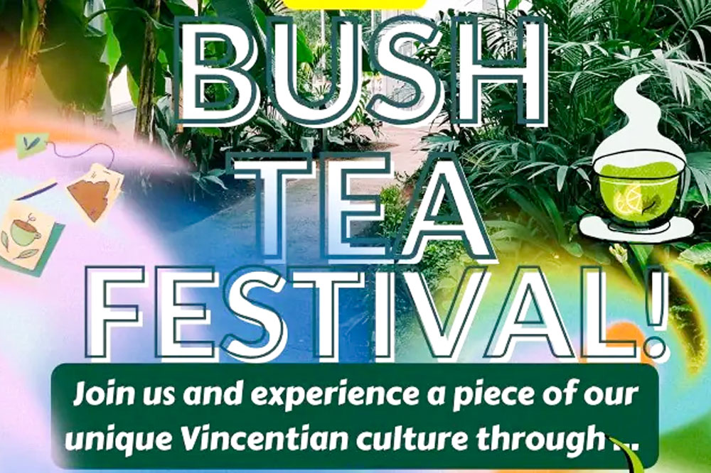 Bush Tea festival steams up today - Searchlight