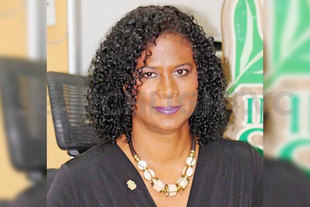 More tourism standards in the works