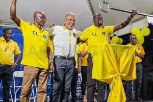 NDP candidate claims neglect and abandonment of Central Leeward