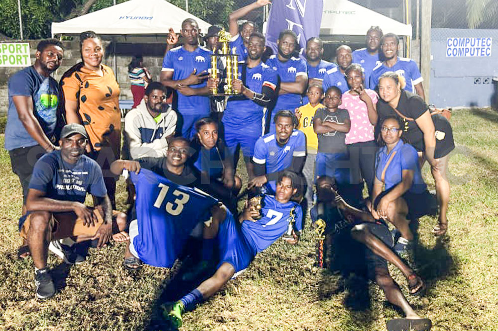 Laynes wins edition 4 of Business Houses Small Goal Football Competition