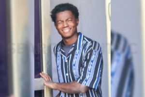 Gardener sentenced for hitting client with stone and shovel