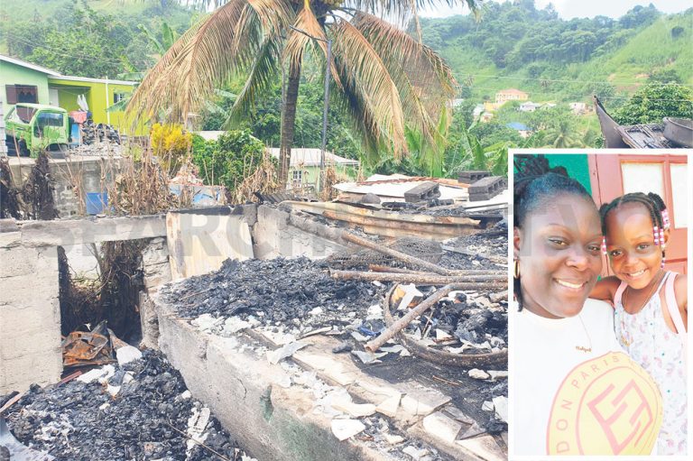 12 left homeless in mid-day fire at Richland Park - Searchlight