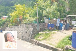 Domestic worker killed at Long Wall